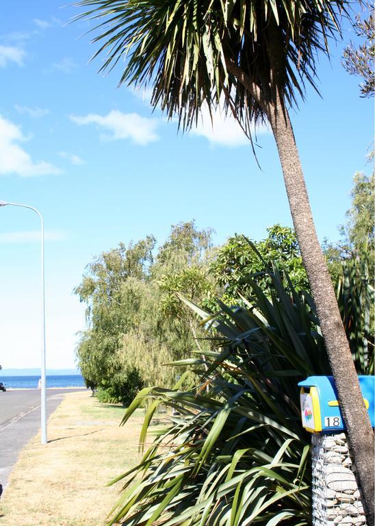 Bed and Breakfast Tongariro Adventures Kuratau Esterno foto